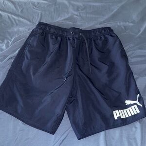 Puma Charcoal Gray Sports Shorts